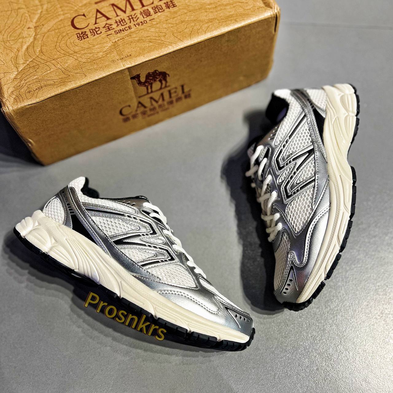 CROWN CAMEL “VINTAGE TECH RUNNER” – White | Silver